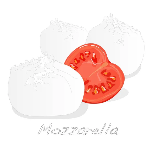 分離された白いモッツァレラチーズの部分. — ストックベクタ