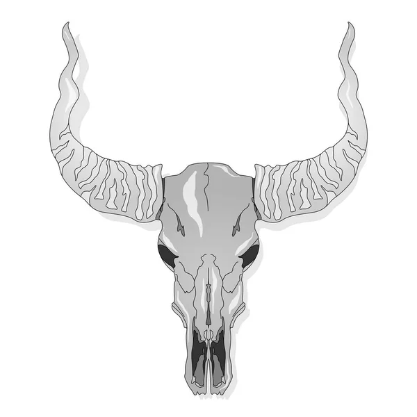 Ilustración dibujada a mano del cráneo — Vector de stock