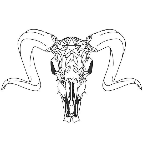Illustration dessinée à la main du crâne — Image vectorielle