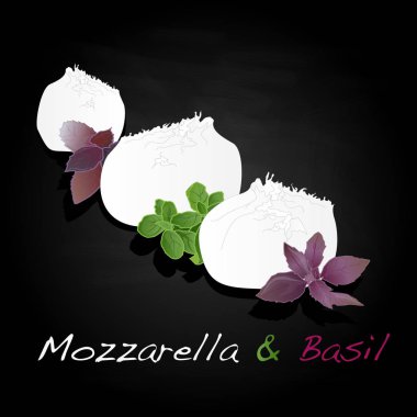 Beyaz mozzarella izole parçası.