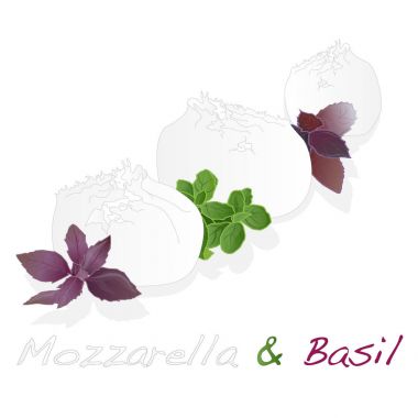 Beyaz mozzarella izole parçası.