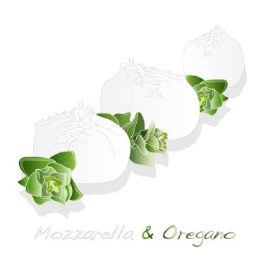 Beyaz mozzarella izole parçası.