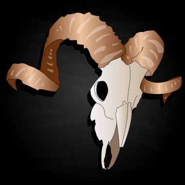 Kafatası-elle çizilmiş illüstrasyon