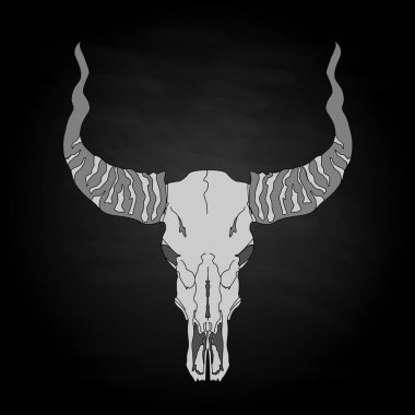 Kafatası-elle çizilmiş illüstrasyon