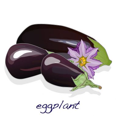 Patlıcan ya da patlıcan sebze izole