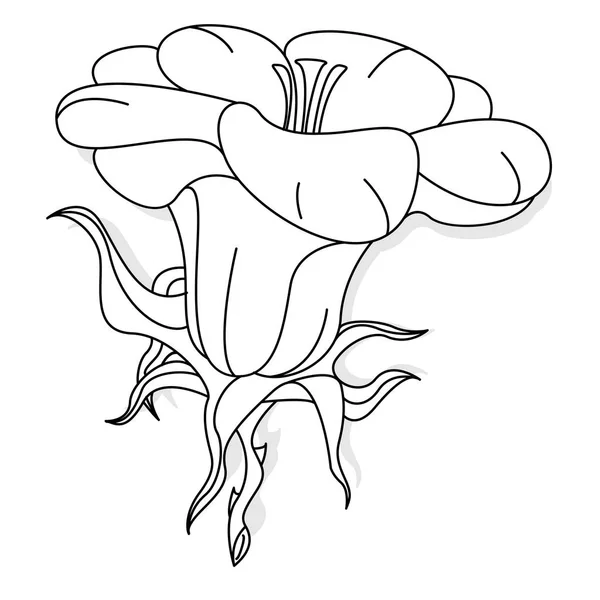 Illustration de fleurs fantaisie sur blanc — Image vectorielle