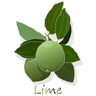 beyaz zemin üzerinde Sulu kireç.