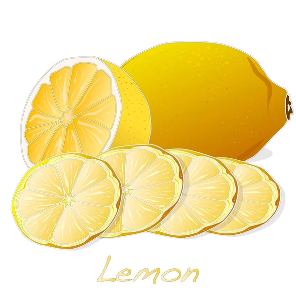 Koleksi ilustrasi buah lemon - Stok Vektor