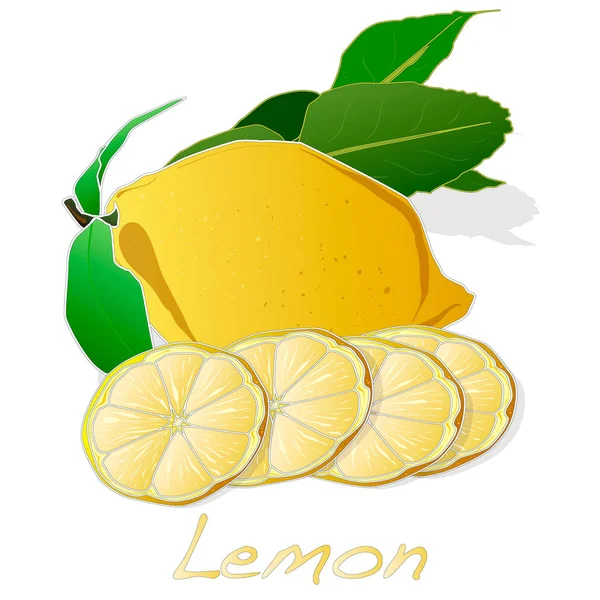 Koleksi ilustrasi buah lemon - Stok Vektor