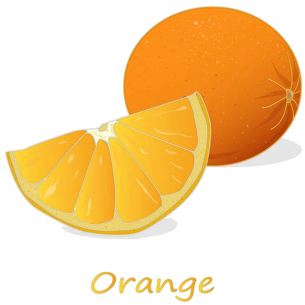Orange segar diisolasi di latar belakang putih - Stok Vektor