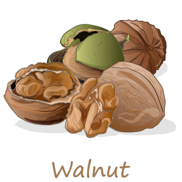 Орехи изолированы на белом фоне.