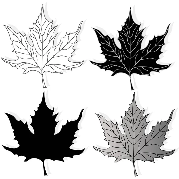 Set ilustrasi warna-warni musim gugur daun - Stok Vektor