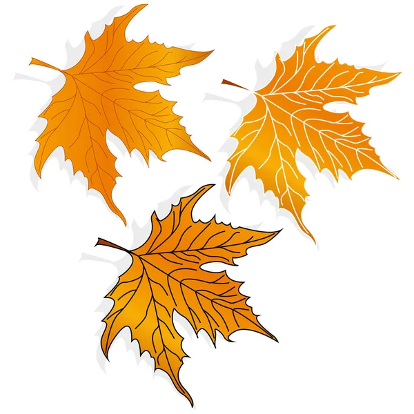 Feuille automne coloré illustration ensemble — Image vectorielle