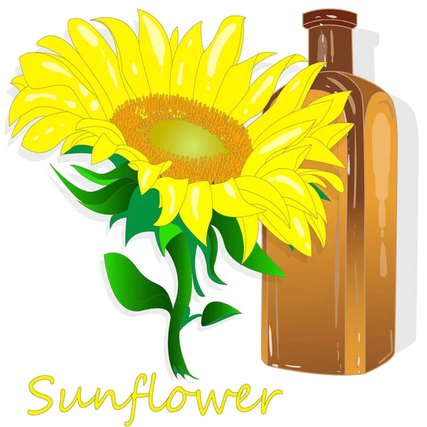 Botol minyak bunga matahari diisolasi pada ilustrasi putih - Stok Vektor