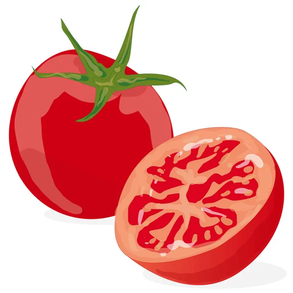 Beyaz arkaplanda izole edilmiş domates — Stok Vektör