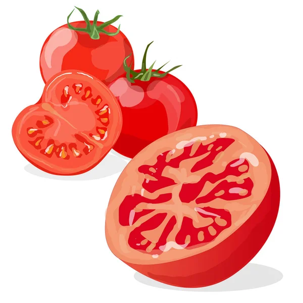 Tomat diisolasi pada latar belakang putih - Stok Vektor