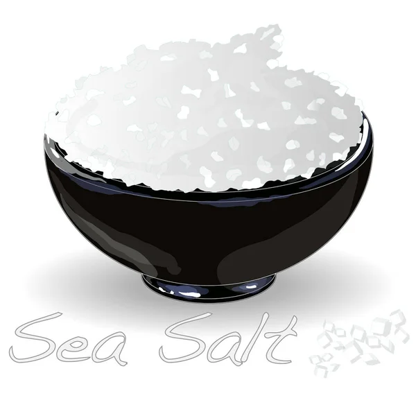 Sea salt in ceramic bowl for cooking or spa, isolated — Stock Vector