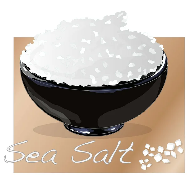 用于烹调或水疗的陶瓷碗中的海盐, 隔离 — 图库矢量图片
