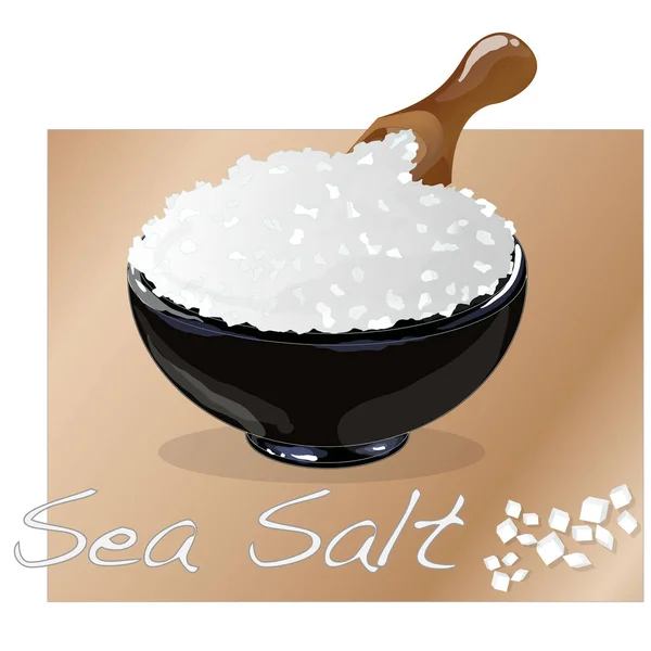 Θαλασσινό αλάτι σε κεραμικό μπολ για το μαγείρεμα ή spa, απομονώνεται — Διανυσματικό Αρχείο