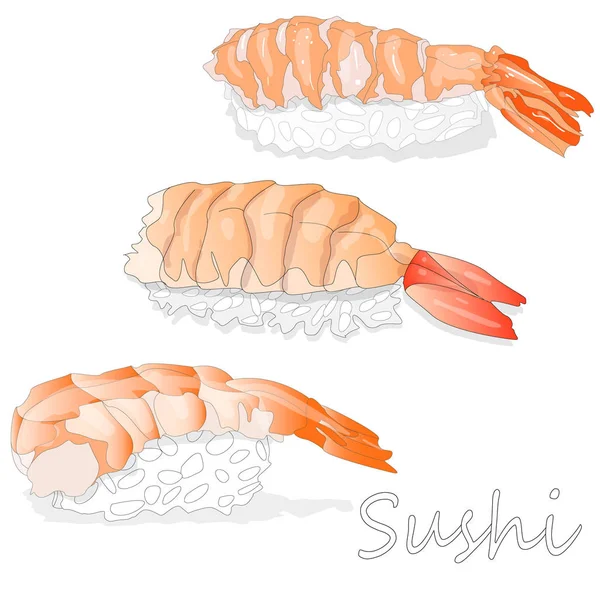 Nigiri sushi illustration auf weißem hintergrund — Stockvektor