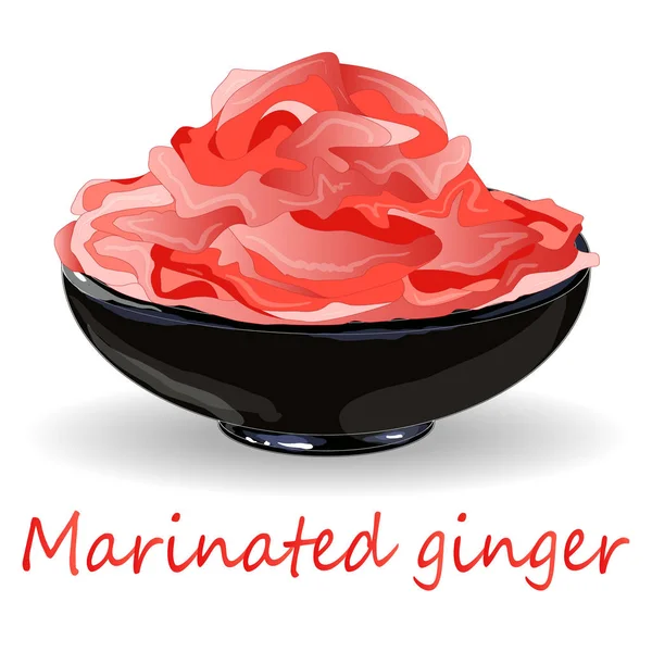 Marinated ginger slices illustration  isolated — Stock Vector