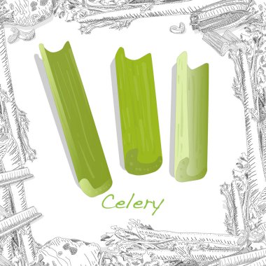 Kereviz, beyaz arka planda izole edilmiş. Vektör illüstrasyonu