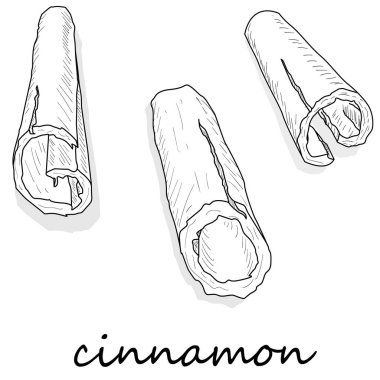 Tarçın çubukları beyaz arka planda izole edilmiş. Vektör illüstrasyonu