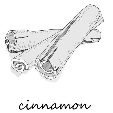 Tarçın çubukları beyaz arka planda izole edilmiş. Vektör illüstrasyonu