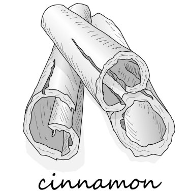 Tarçın çubukları beyaz arka planda izole edilmiş. Vektör illüstrasyonu