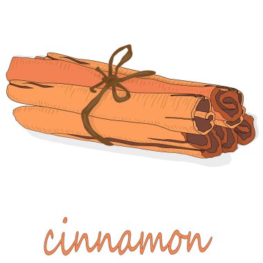 Tarçın çubukları beyaz arka planda izole edilmiş. Vektör illüstrasyonu