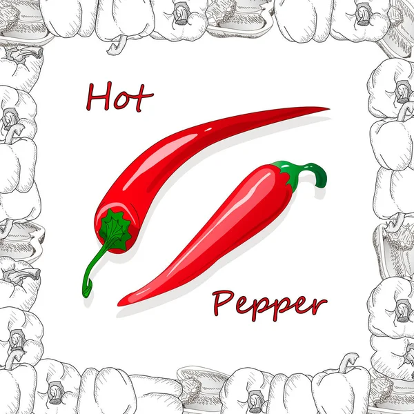 Close-up weergeven peper op witte achtergrond, Raw Food ingrediënt con — Stockvector