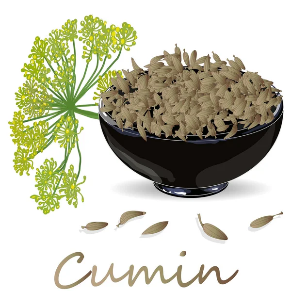 Assaisonnement de graines de cumin (Zira) pour les repas et les soupes sur un dos blanc — Photo