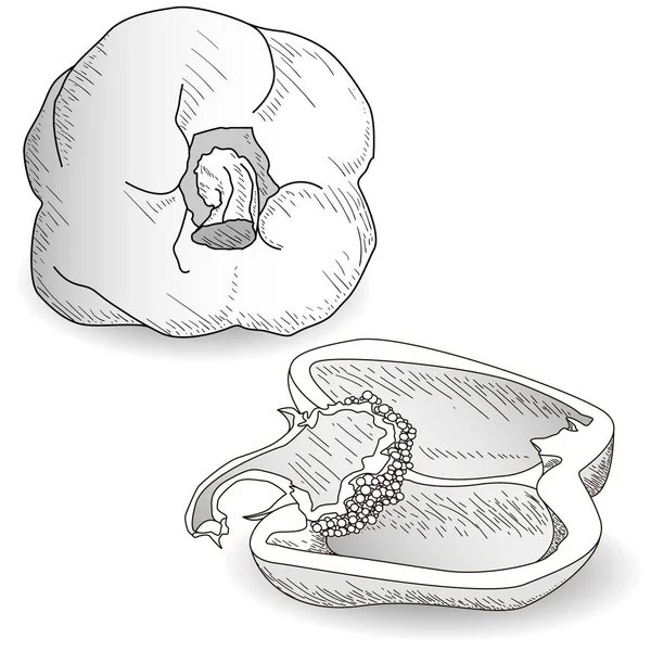 Saboroso pimentão maduro no fundo branco. Ilustração vetorial — Fotografia de Stock