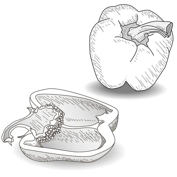 Sabrosos pimientos maduros sobre fondo blanco. Ilustración vectorial —  Fotos de Stock