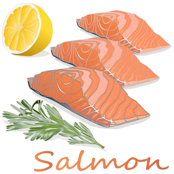 Filetes de salmón crudo con hierbas sobre fondo blanco. Ilustración vectorial —  Fotos de Stock