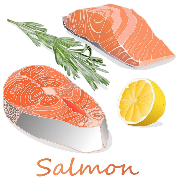 Filetes de salmón crudo con hierbas sobre fondo blanco. Ilustración vectorial —  Fotos de Stock