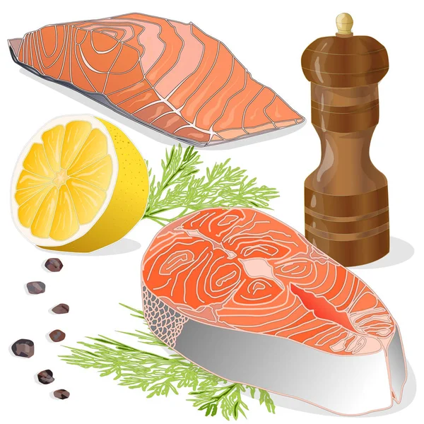 Raw salmon fillets with herbs on white background. Vector illust — Stock Photo, Image
