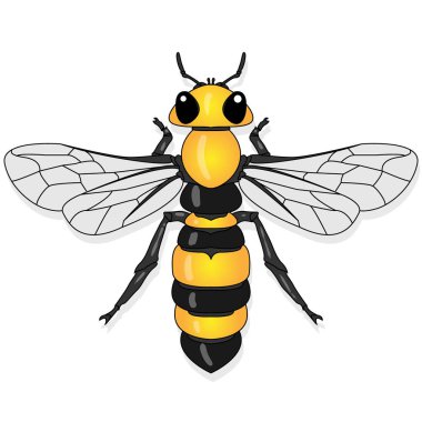Beyaz arkaplanda bal arısının vektör illüstrasyonu. .