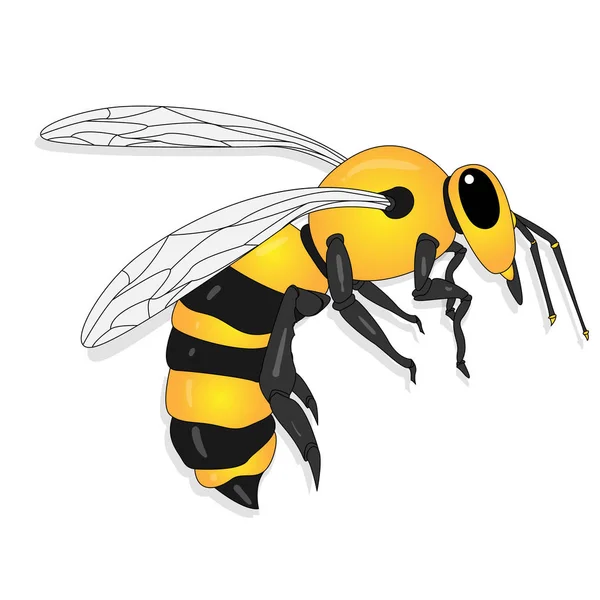 Векторная иллюстрация пчелы на белом фоне . . — стоковый вектор