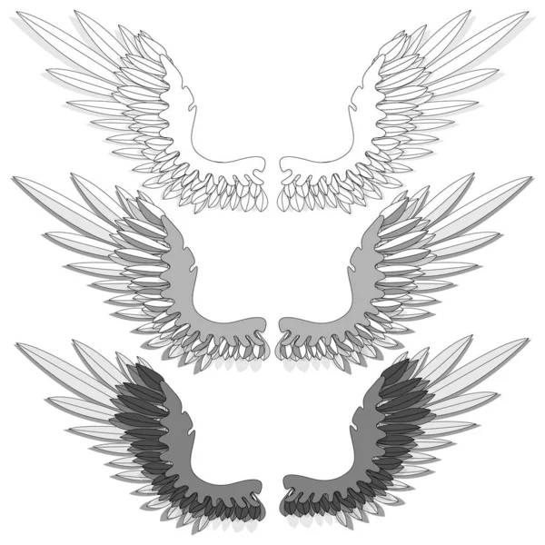 Ptasie Skrzydła Odizolowane Białym Tle Ilustracja Wektora Monochromatyczne — Wektor stockowy