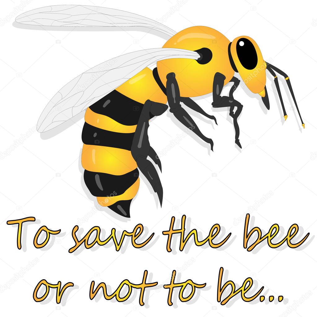 Bee illustration - vector text quotes and bee drawing. Lettering