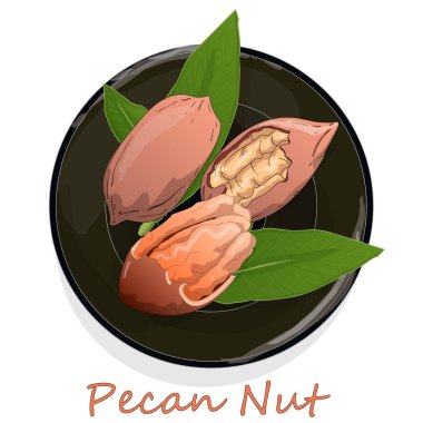 Tabaktaki ceviz, beyaz arka planda izole edilmiş. Vektör illüstrası