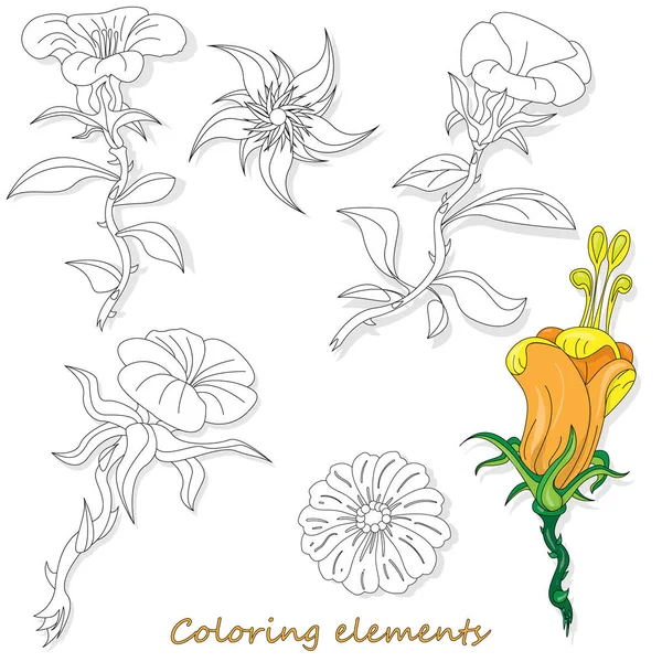 Fantasia elementos de flores ilustração definido em branco isolado. Efeito — Vetor de Stock