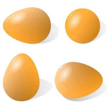 Beyaz arkaplanda izole edilmiş bir vektör yumurta..