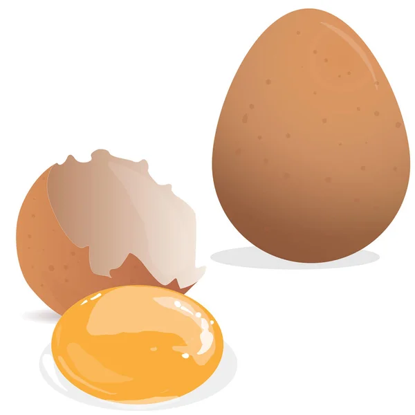 Conjunto Ilustrações Vetoriais Ovos Isolado Sobre Fundo Branco — Vetor de Stock