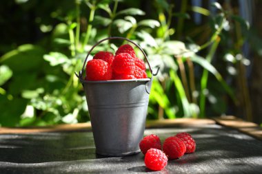Bahçenin arka planına karşı siyah bir masada, teneke bir kovada ahududu. Yan görüş. Sağlıklı bir diyet için taze yaz hasadı.