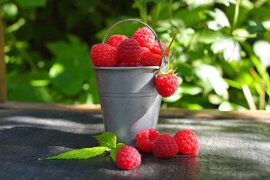 Bahçenin arka planına karşı siyah bir masada, teneke bir kovada ahududu. Yan görüş. Sağlıklı bir diyet için taze yaz hasadı.