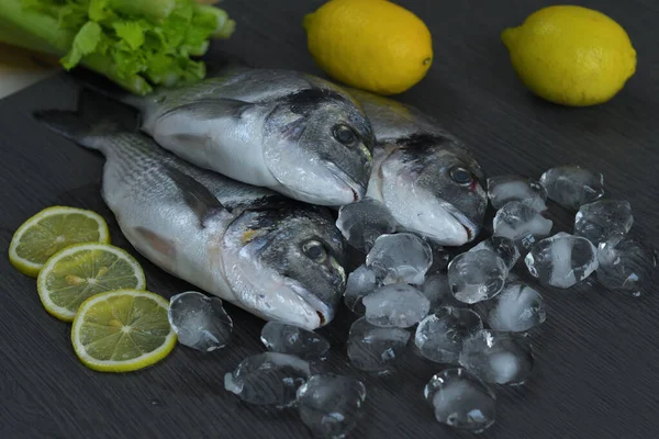 Peixe cru dorado. Três filé de peixe cru e limão no gelo no fundo escuro, cozinha mediterrânea — Fotografia de Stock