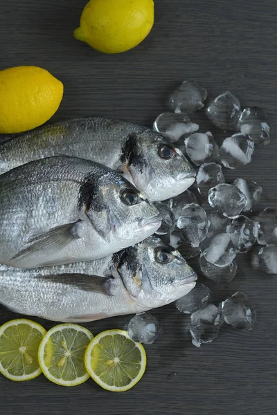 Peixe cru dorado. Três filé de peixe cru e limão no gelo no fundo escuro, cozinha mediterrânea — Fotografia de Stock