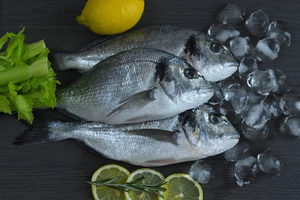 Peixe cru dorado. Três filé de peixe cru e limão no gelo no fundo escuro, cozinha mediterrânea — Fotografia de Stock